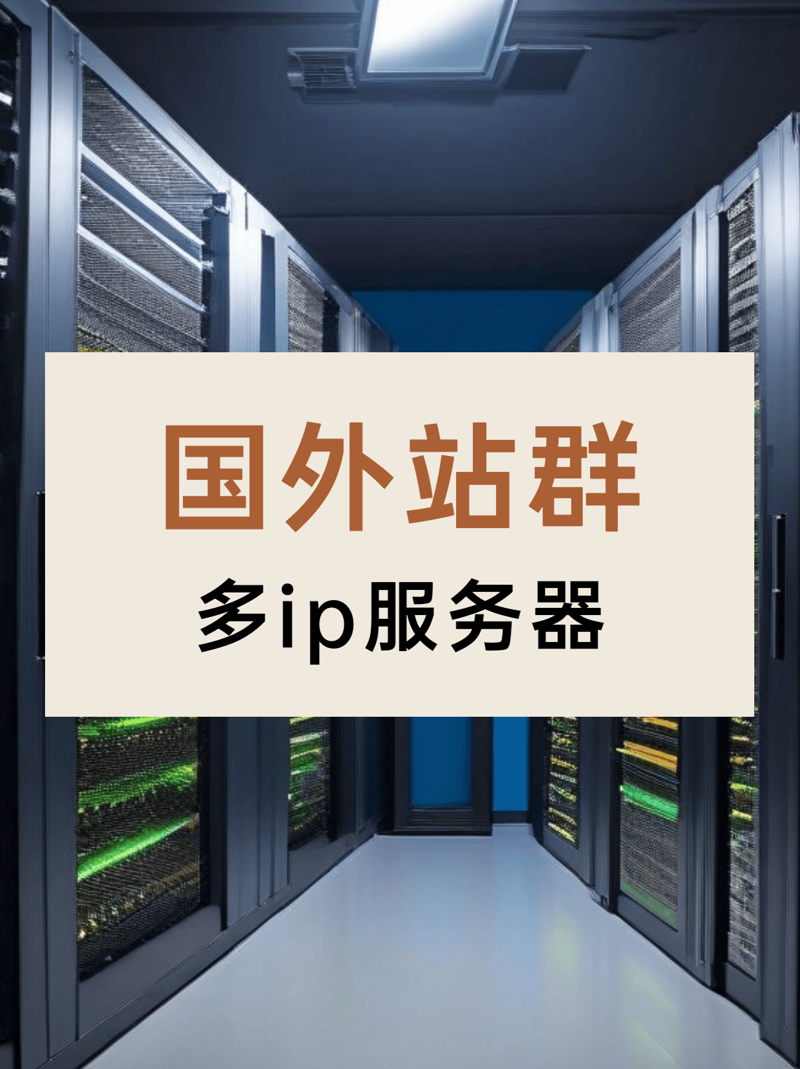 2025年站群程序市场观察：技术演进、执行深度与合规边界